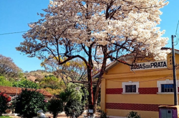 Foto - Praças, Parques e Monumentos