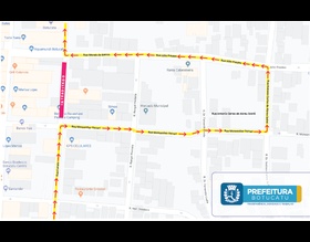 Rua Curuzu estará interditada novamente para remoção de árvore com risco de queda no domingo, 13
