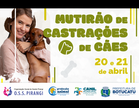Prefeitura realizará mais um mutirão de castração gratuita para cões