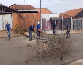 Tempestade provocou a queda de mais de 100 árvores e o destelhamento de 50 residências em Botucatu