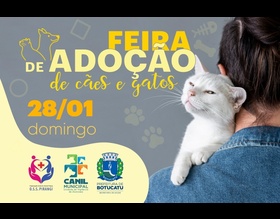 Botucatu terá Feirinha de Adoção de cães e gatos neste domingo