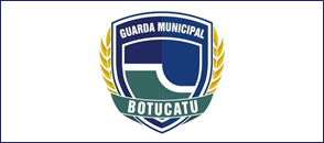 GCM registra 3ª pri são relacionada à violência doméstica em 2015