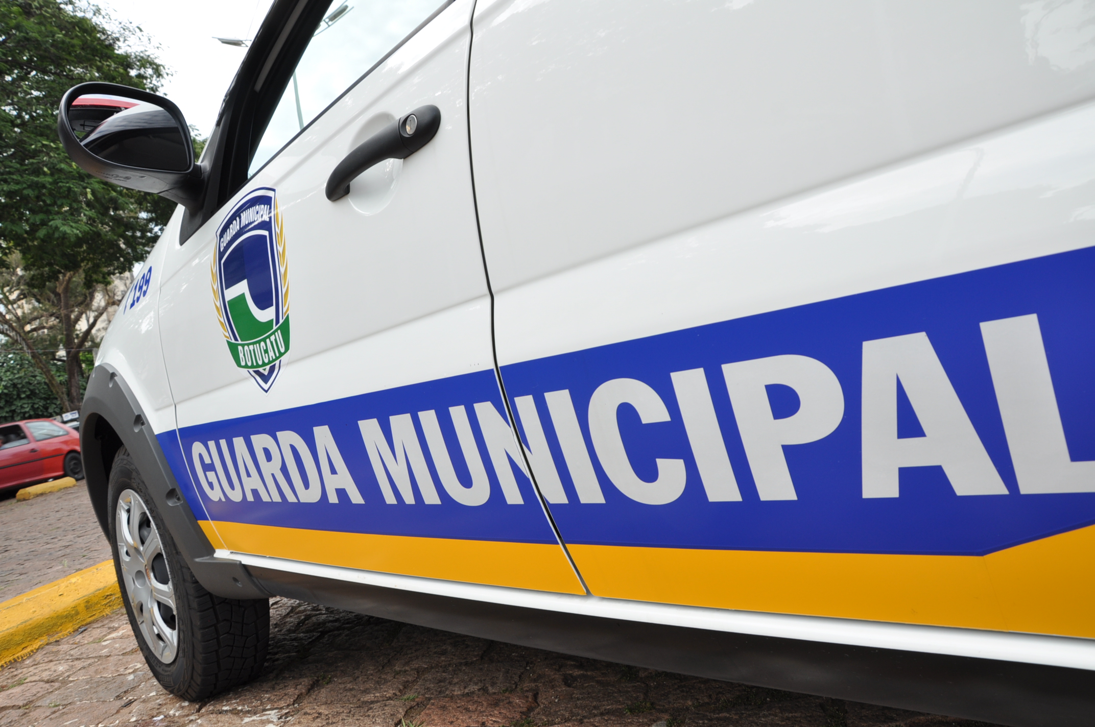 GCM fecha balanço do primeiro semestre com mais de 26 mil ações