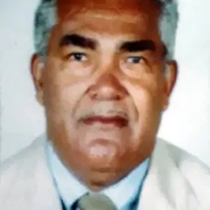 Júlio Ribeiro da Silva